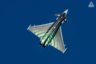ila18-08457.jpg