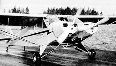 Wagner-twin-cub.jpg