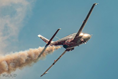 DSC_8879 kopia ps1.jpg