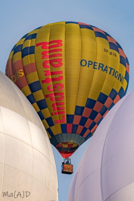 DSC_1588 kopia ps1.jpg