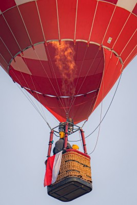 DSC_1662 kopia ps1.jpg