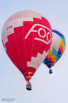 DSC_1719 kopia ps1.jpg