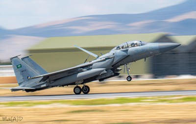 DSC_3989 kopia ps1.jpg