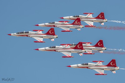 DSC_4609 kopia ps1.jpg