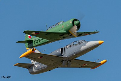 DSC_3349 kopia ps1F.jpg