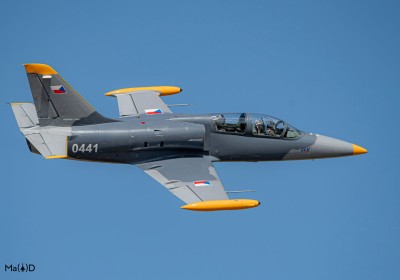 DSC_3504 kopia ps1.jpg