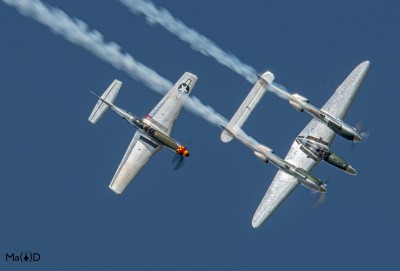 DSC_4123 kopia ps2.jpg