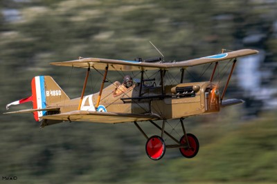 DSC_1422 kopia ps1.jpg