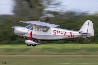 DSC_2954 kopia ps1.jpg